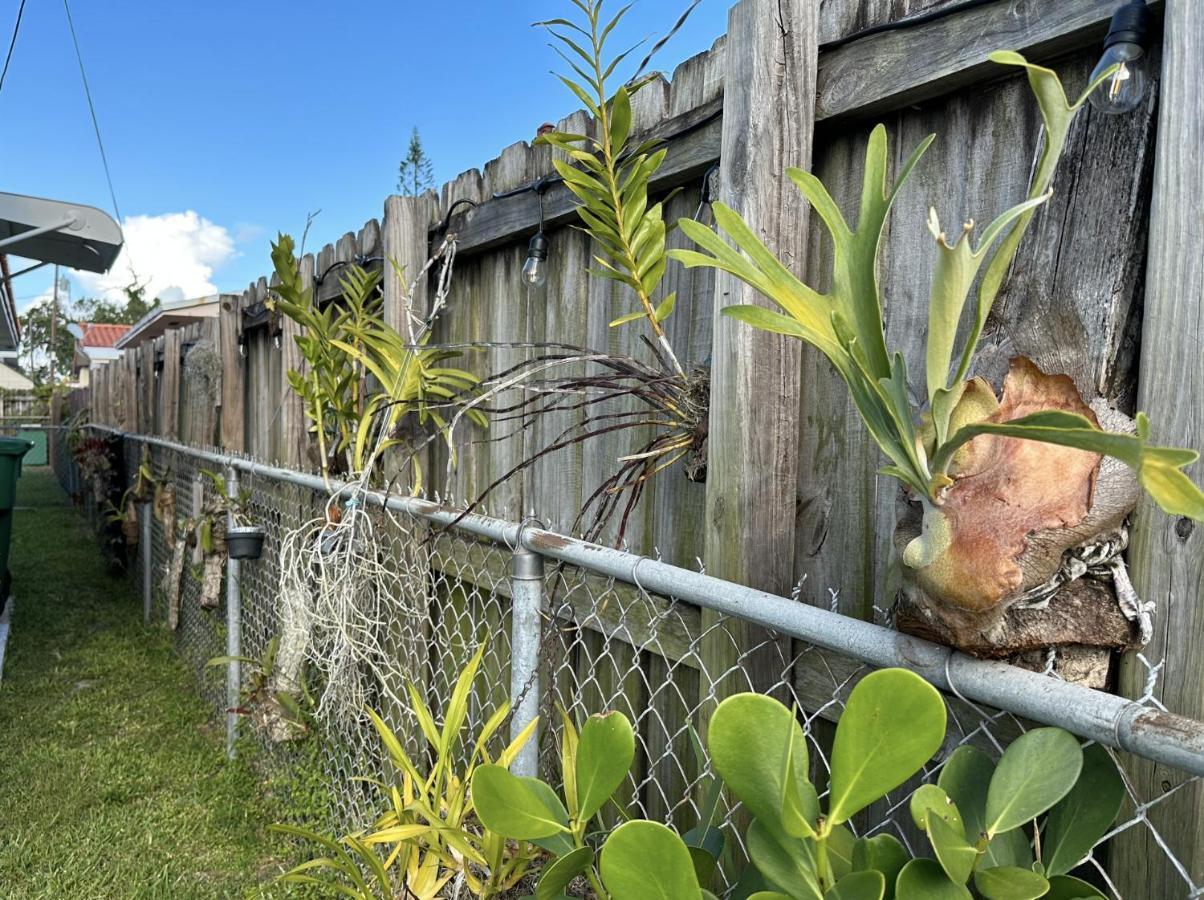 Вилла Miami'S Cozy Tropical Getaway Экстерьер фото